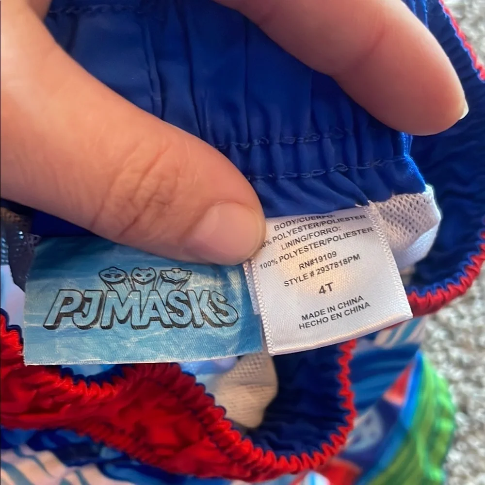 PJ Masks Kids Swim Trunks - Colorful Stripes